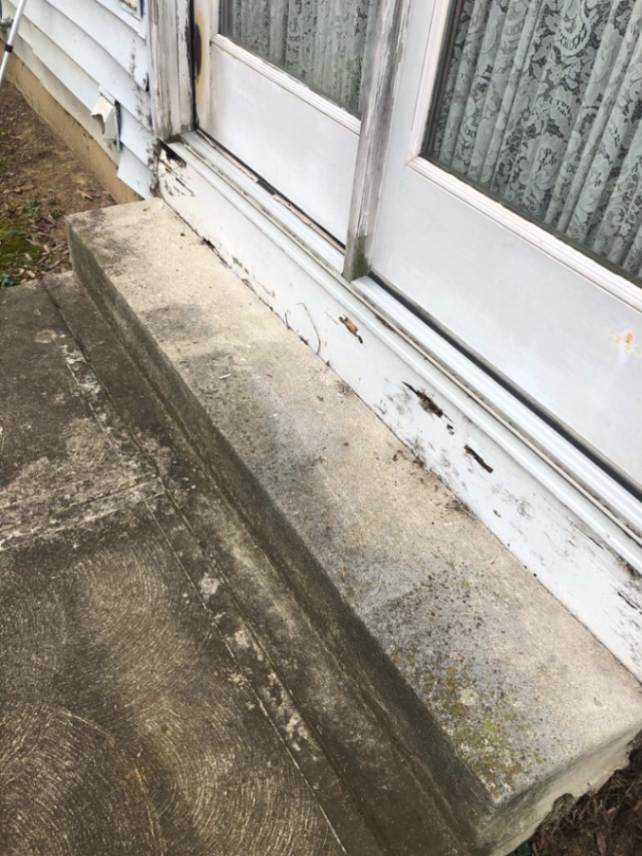 termite damage