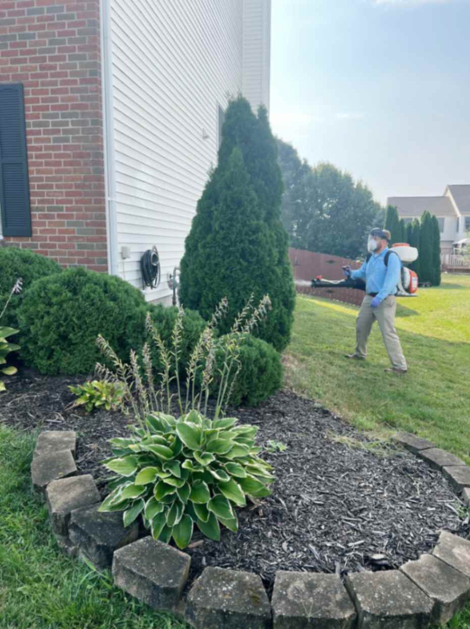 Mosquito Control Columbus Ohio Elite Pest and Termite Control