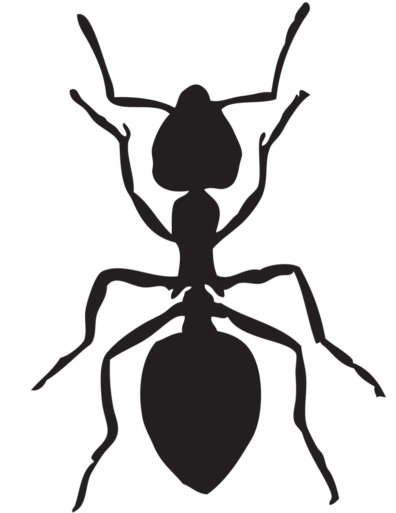 Pest control Newark Ohio Elite Pest and Termite Control, LLC