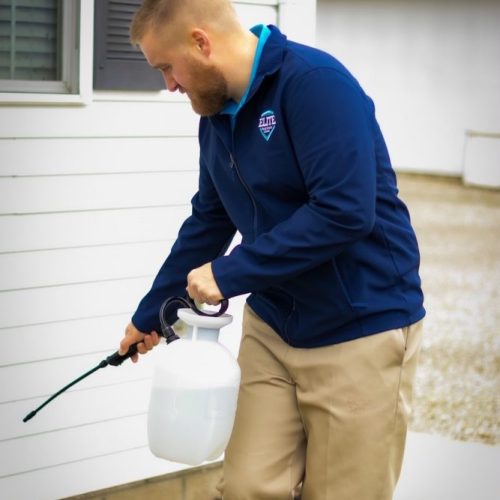 Brad treating exterior